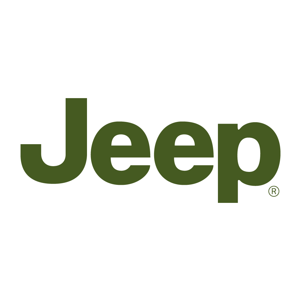 the company logo